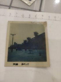 天津海河公园照