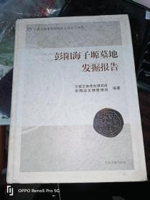 宁夏文物考古研究所丛刊之二十二：彭阳海子塬墓地发掘报告