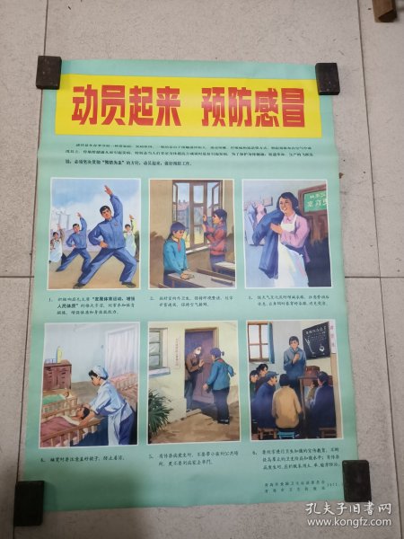 青岛爱国卫生运动委员会，青岛卫生防疫站宣传年画。动员起来，防疫感冒品好。76/53