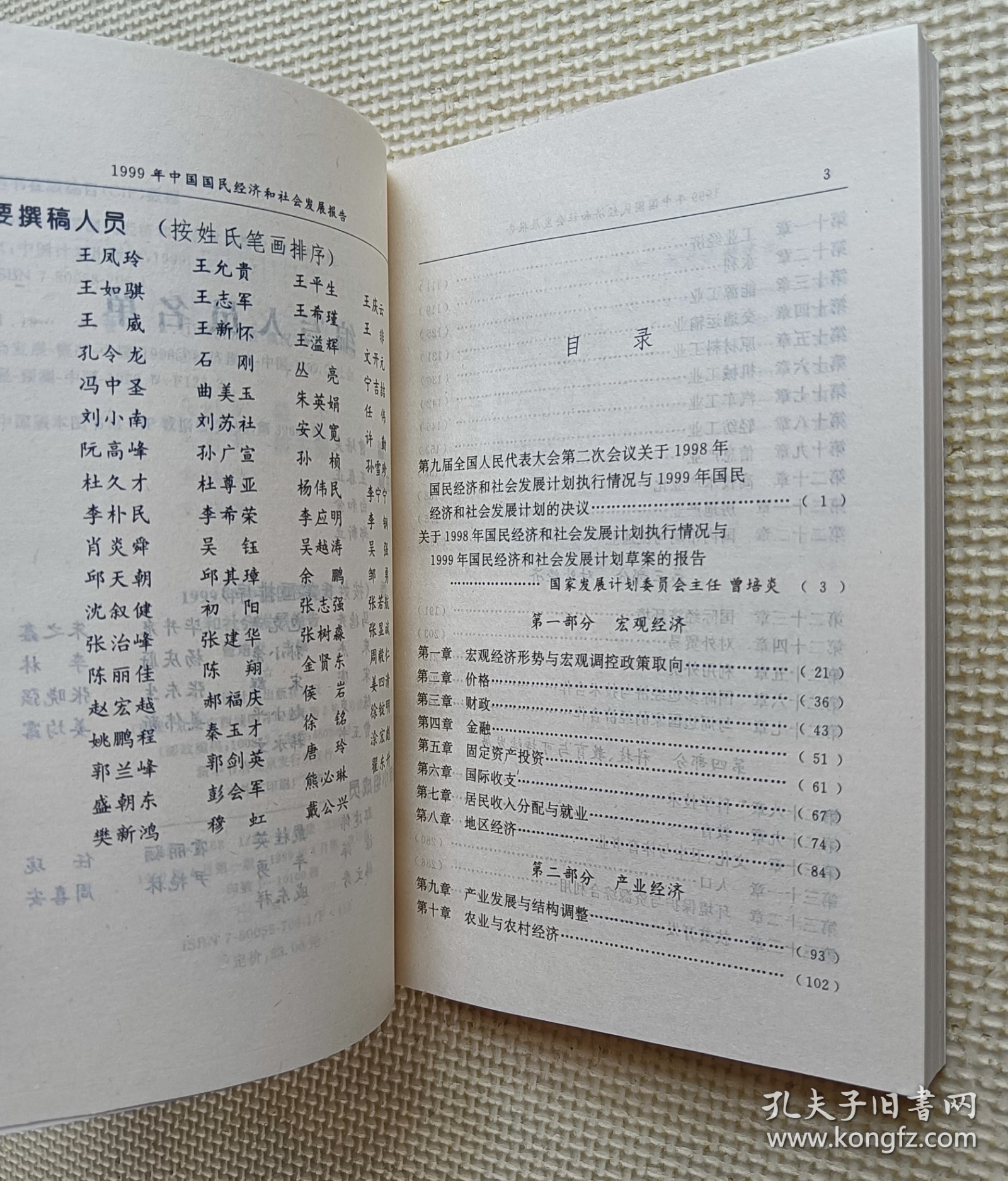 1999年中国国民经济和社会发展报告