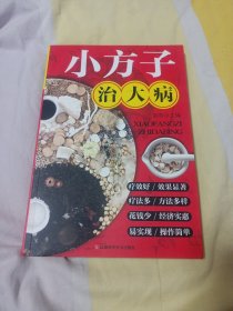 小方子治大病