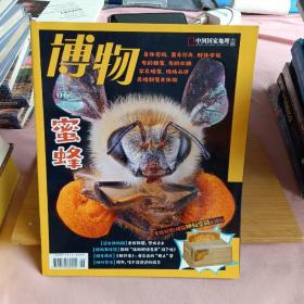 博物（2022.6）蜜蜂