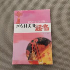 新农村实用起名