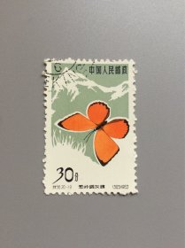 特56蝴蝶邮票一枚。20-19。葱岭铜灰蝶。盖销上上品。实图发货。