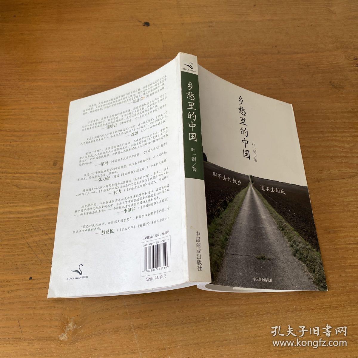 乡愁里的中国：回不去的故乡，进不去的城【实物拍照现货正版】