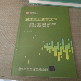 泡沫之上资本之下：影视公司价值评估的现状、困境及其模型构造