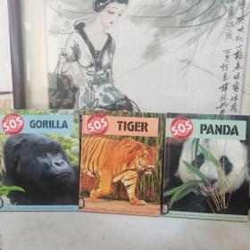 保护物种系列:Panda、Tiger、Gorilla（三册合售）