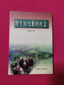 野生短尾猴的社會