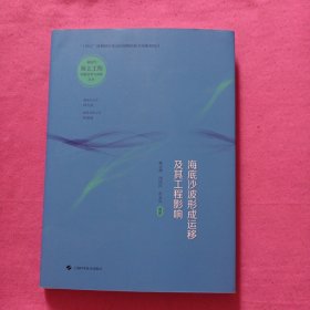 海底沙波形成运移及其工程影响(新时代海上工程创新技术与实践丛书)