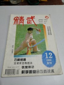 精武1994年第12期