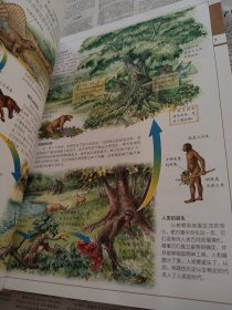 中国儿童百科全书，人类社会