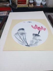 荷花，延参法师