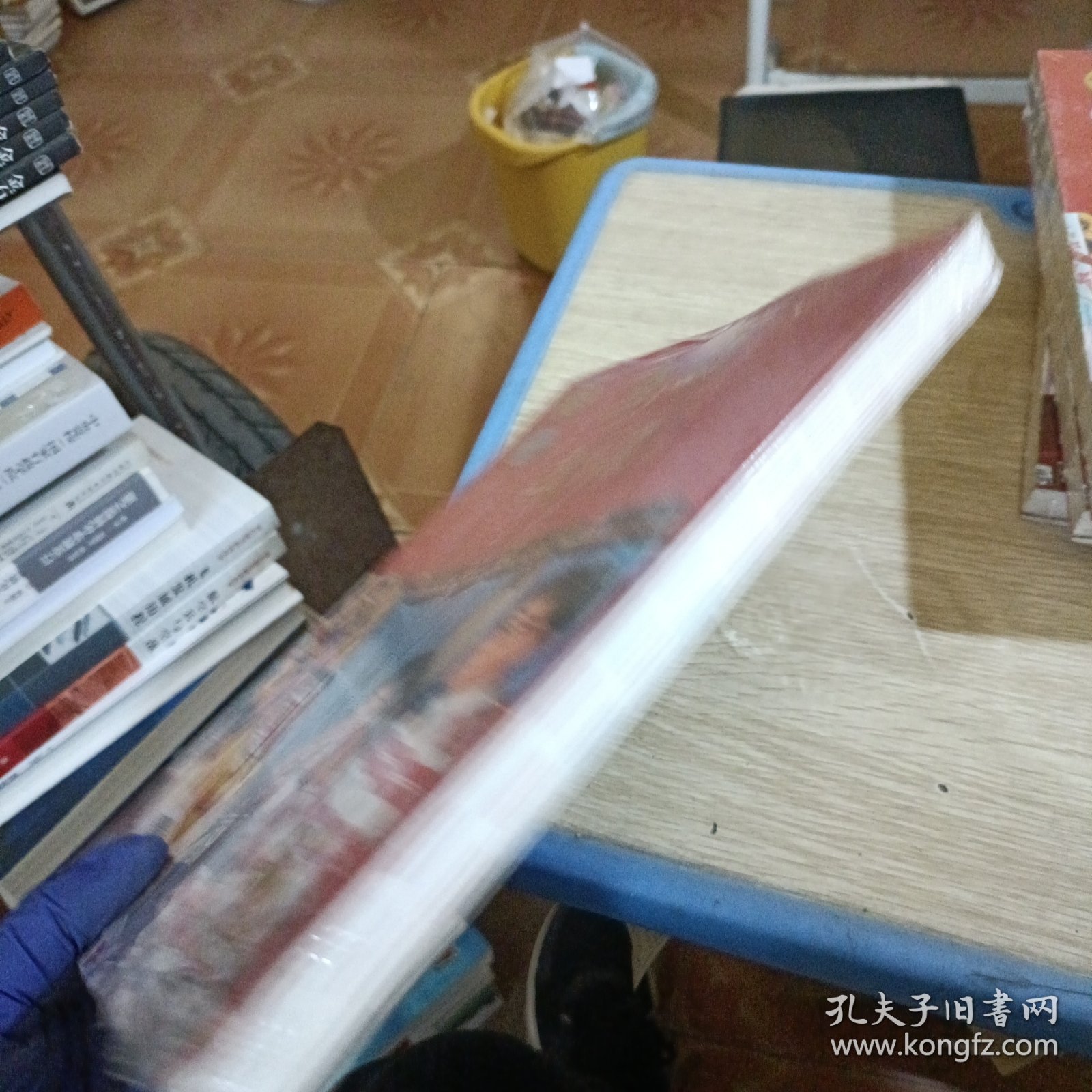 新版年级阅读五年级 下册
