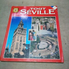 法文原版书 TOUT SEVILLE