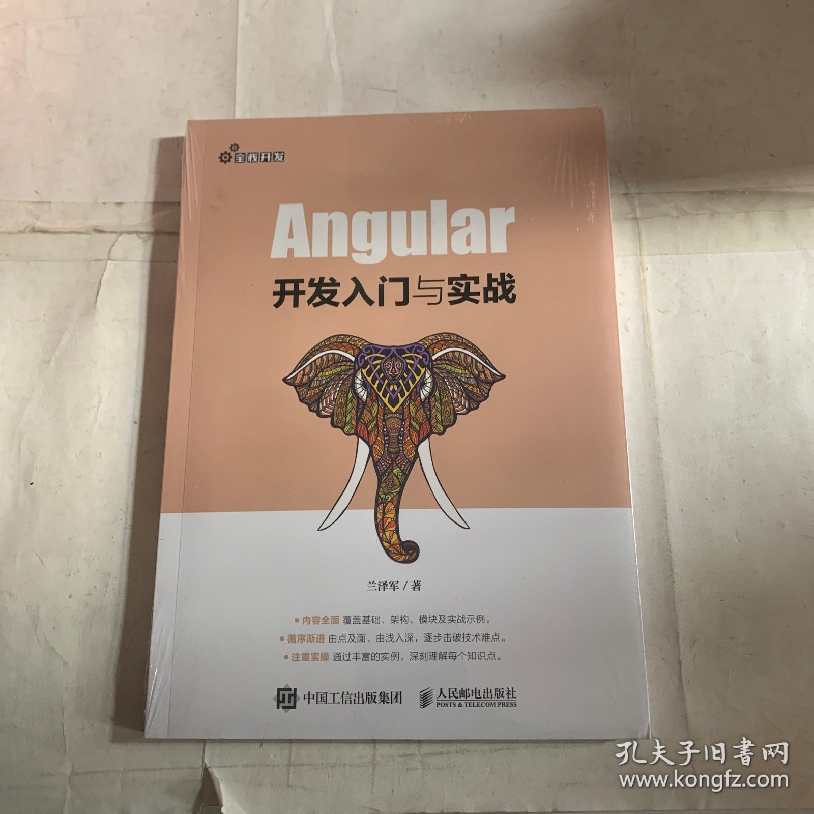 Angular开发入门与实战