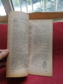 中国青年1981 5