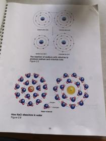 STUDENT STUDY Art Notebook STUART IRA FOX Human Physiology 人体理学