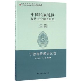 中国民族地区经济社会调查报告