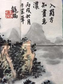 著名画家:龙瑞作品
2006年中国画院院长