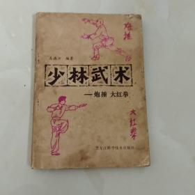 少林武术