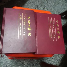 中药大辞典，精装32开，2厚册，4公斤