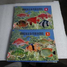 中国海洋鱼类原色图集(1)：Atlas of the sea fishes of China in live colour Volume 1    2