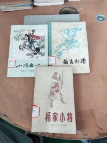 小将岳云、杨家小将、燕青打擂一3本合售