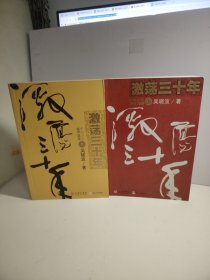 激荡三十年（上）：中国企业1978-2008