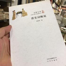 唐宋词概说/大家小书