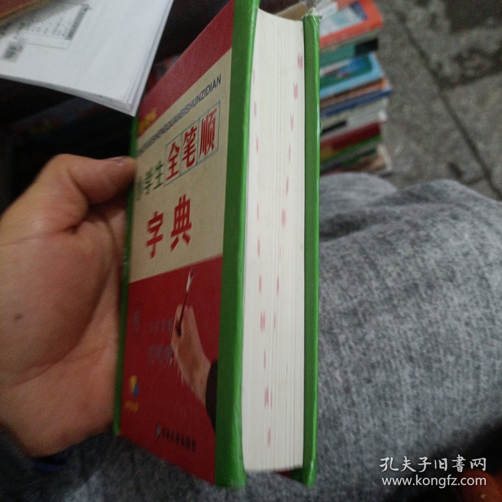 小学生全笔顺字典