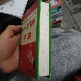 小学生全笔顺字典