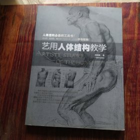 艺用人体结构教学