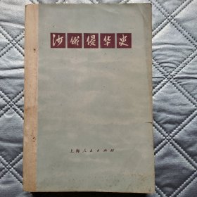 沙俄侵华史