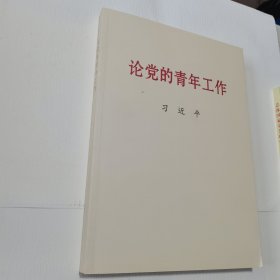 论党的青年工作大字本