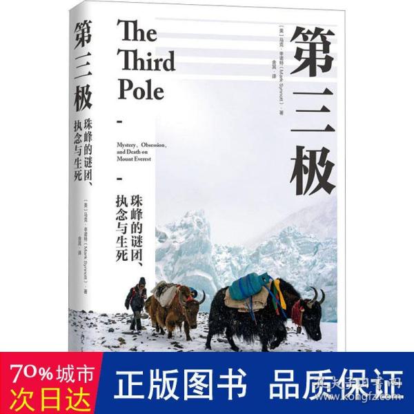 第三极 珠峰的谜团、执念与生死（讲述了扑朔迷离、艰难险阻的珠峰探险之旅。）