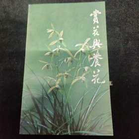 赏花与养花