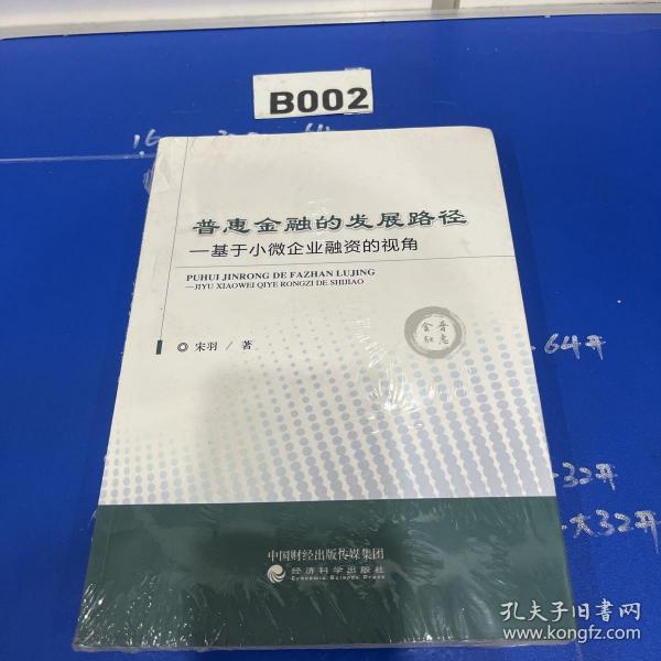 普惠金融的发展路径：基于小微企业融资的视角