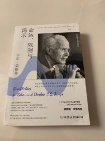命运、限制与渴求：卡尔·荣格传