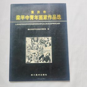 重庆市梁平中青年画家作品选