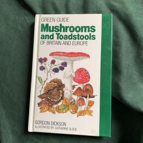 mushrooms a n d toadstools