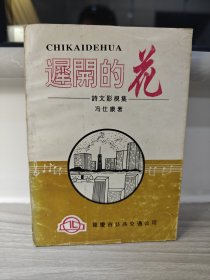 迟开的花