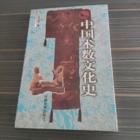 中国术数文化史