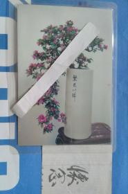 【彩色老照片收藏之一老干部书报间】广州一老干部家里的书报房间-报架读书人与室内植物合一张上过塑 （即两张3R）
