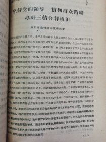 老种子传统农业原始资料收藏（45）《基点工作》（2）（鄂川滇藏）60-299：湖北样板田资料选编：新疆五一农场工作组，友谊农场五分场二队基点小组，四川盆地商品粮基地综合试验研究中心郫县站水稻样板田，延吉市水稻丰产样板工作组，江西上饶专区农科所，汉中新沟桥公社新校大队样板田水稻丰产，山西省农科院临汾小麦研究所，山东农科院棉花研究所聊城地区棉花丰产，保定地区农业科学研究所大汲店样板田工作组，请看描述