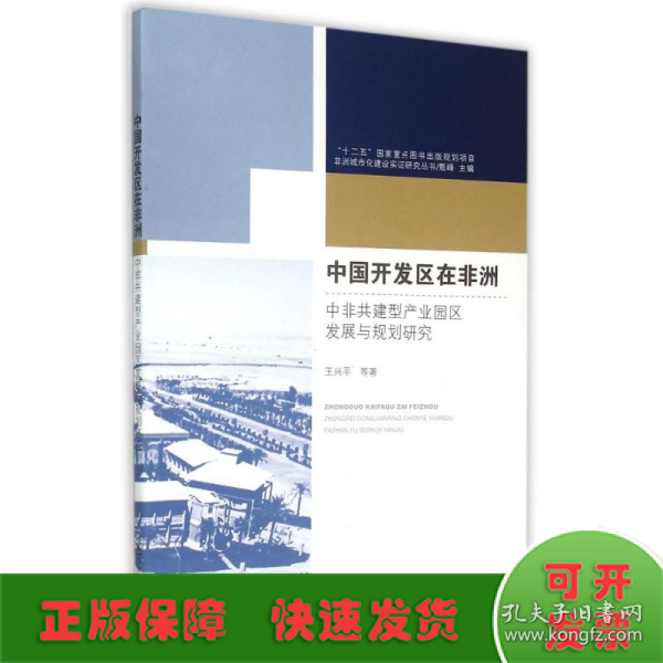 非洲城市化建设实证研究丛书·中国开发区在非洲：中非共建型产业园区发展与规划研究