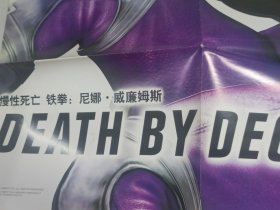 慢性死亡 铁拳：尼娜.威廉姆斯 海报 折叠邮寄