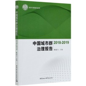 中国城市群治理报告-（（2018-2019））