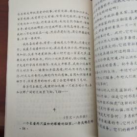 向赖宁哥哥学习