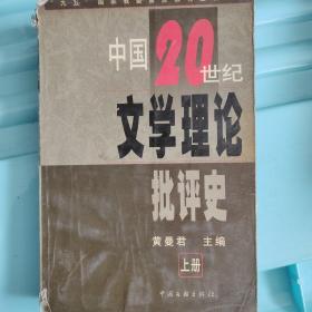 中国20世纪文学理论批评史（上册）