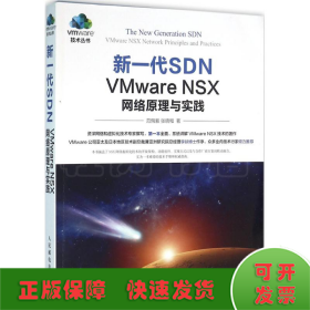 新一代SDN